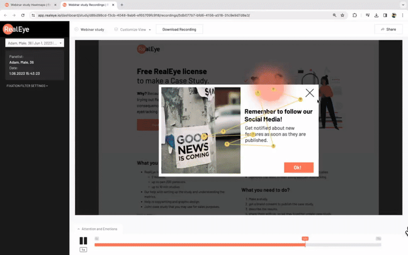 RealEye in UX Design